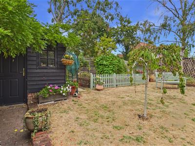 Picture 23